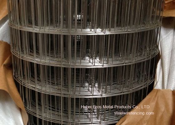 China 304 3/4 de rede de arame soldada de aço inoxidável para a construção, anti corrosão fornecedor