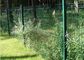 A malha curvada do jardim do metal que cerca o pó pulverizou a obscuridade de dobra - cerca de fio verde fornecedor
